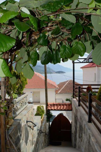 Villa Scandik Ohrid Eksteriør billede