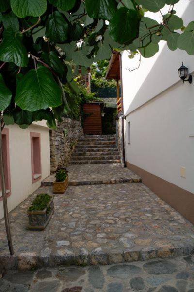 Villa Scandik Ohrid Eksteriør billede